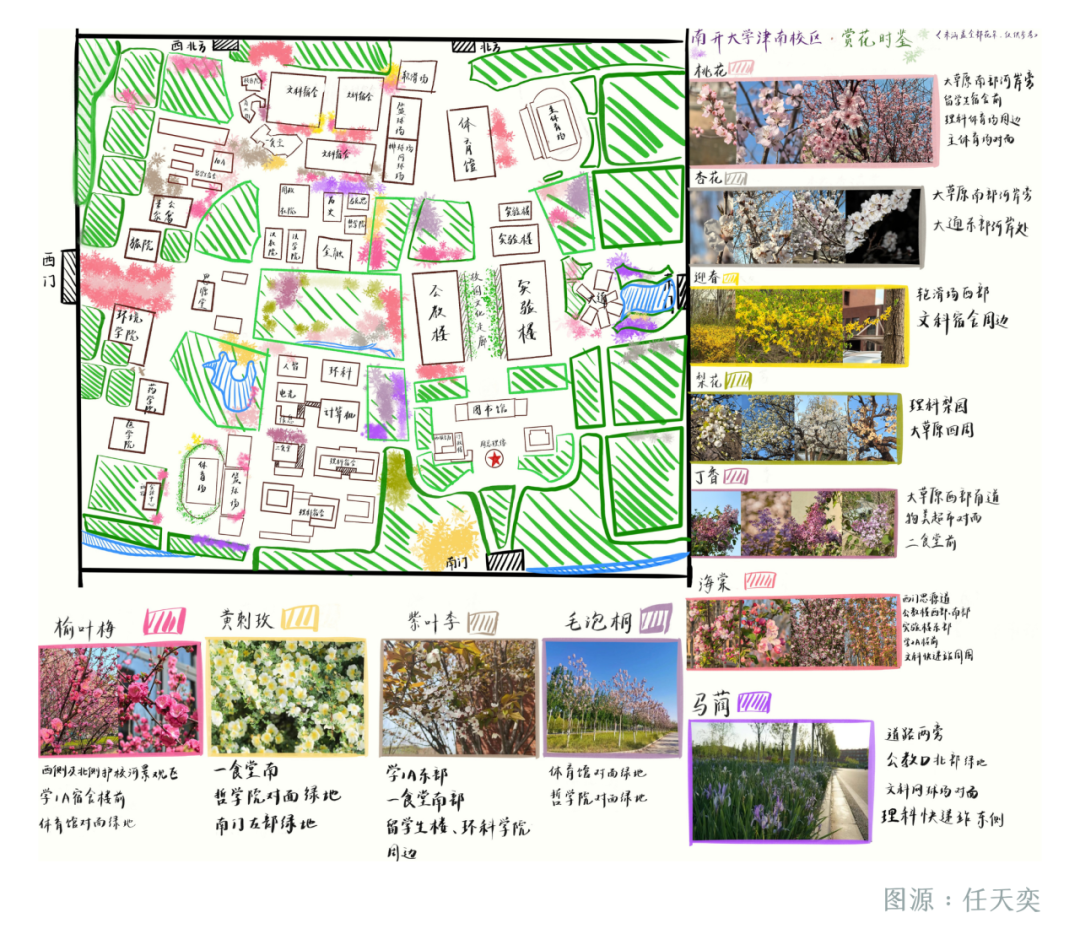 2026年南开大学校园开放日来啦